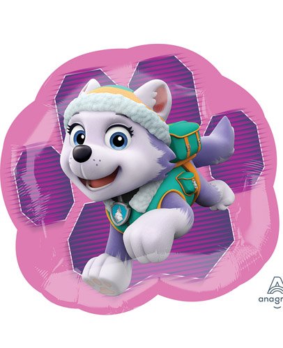 34269-paw-patrol-girls-side-1